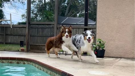 Fetas First Pool Time Fun Featuring Lily YouTube