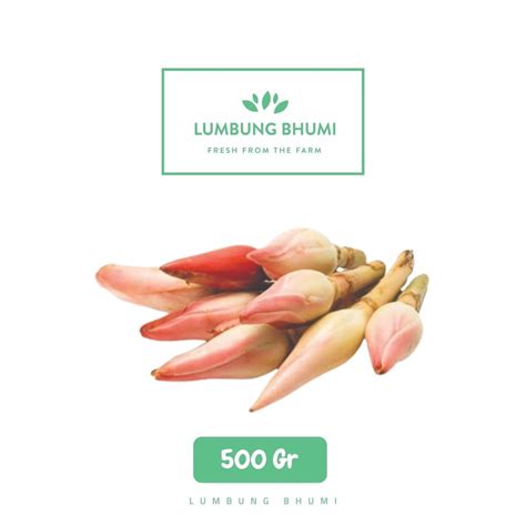 Jual Lumbung Bhumi Kecombrang 500 Gr Sayur Curah Shopee Indonesia