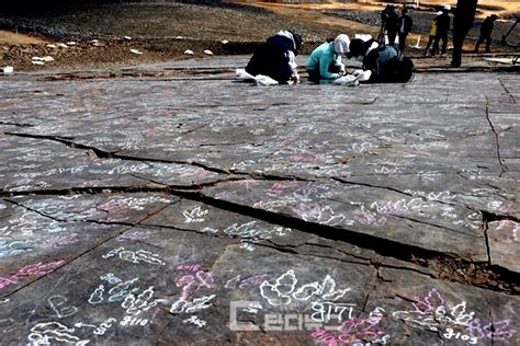 진주 정촌 화석 산지 공룡 발자국 ‘수만 점 달할 듯