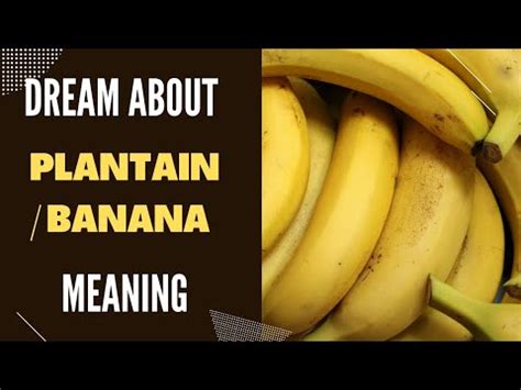 Dream About Plantain Meaning And Interpretation Banana Dream Meaning