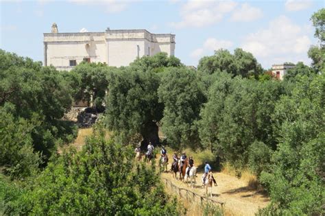 Puglia Gita A Cavallo Nel Parco Dune Costiere GetYourGuide