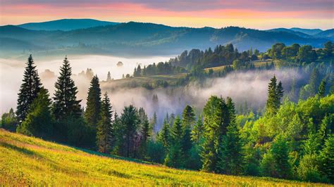 Mountains Summer Carpathian Mountains P Ukraine Landscape