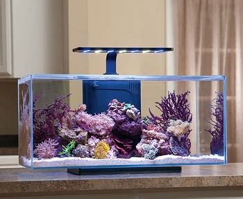 Best Long Rimless Aquariums To Purchase In Reviews