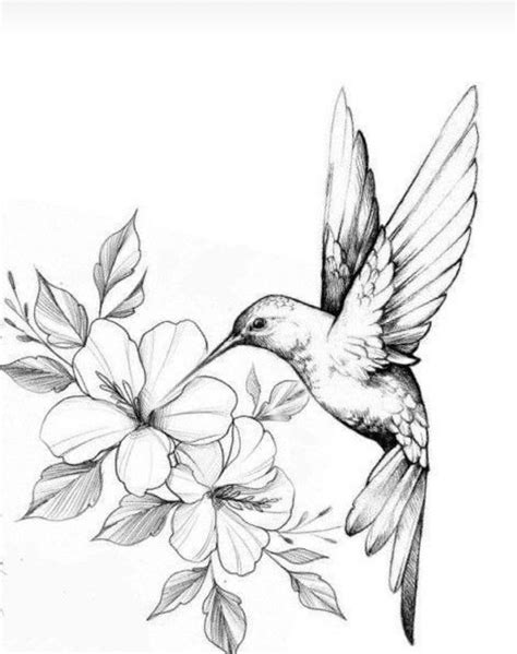 Hummingbird with flowers | Hummingbird art drawing, Hummingbird drawing ...