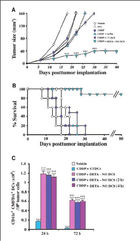 Combined Chemoimmunotherapy With Cisplatin And No Treated Dcs Yields Download Scientific