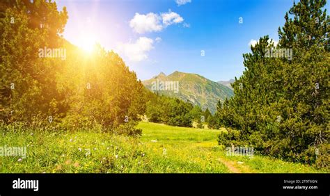 Beautiful Mountain Landscape With Green Meadows Forests And Bright Sun