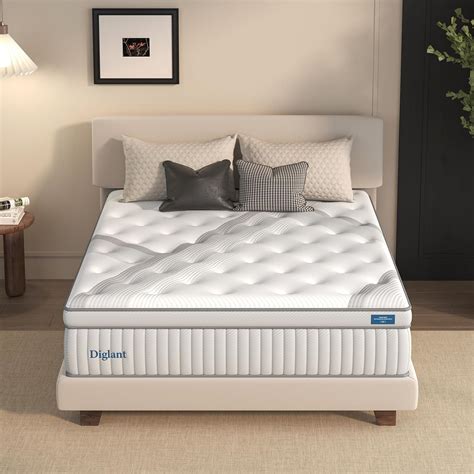 Queen Mattresses Diglant 14 Inch Plush Hybrid Mattress