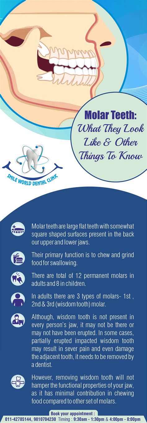 Molar Teeth Pain