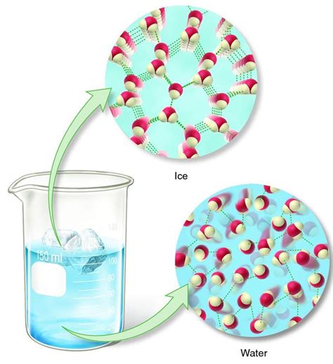 liquid water molecular structure