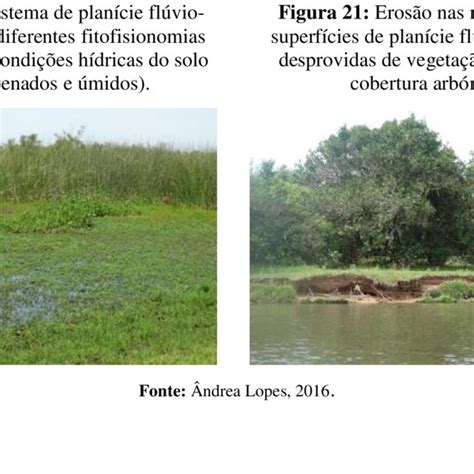 Prática de ovinocultura em superfície de planície flúvio lacustre