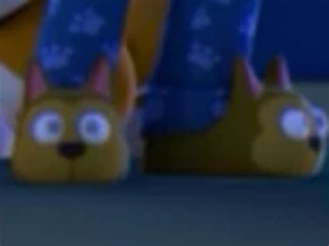 The slippers Ryder got on looks like Chase : r/PawPatrol