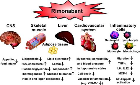 Cannabinoid CB1 Receptor Antagonists For Atherosclerosis And