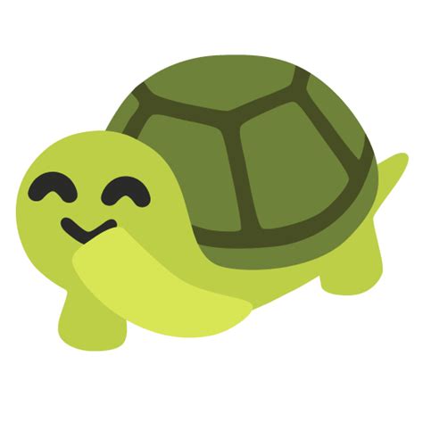 Tortle On Tumblr