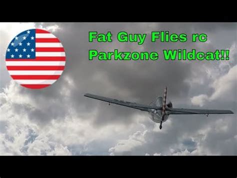 Parkzone Wildcat!! : r/RCPlanes