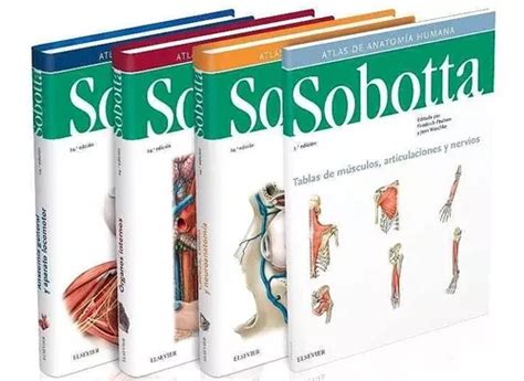 Sobotta Atlas De Anatomía Humana 3 Vols 24 Ed 2018 Envíos MercadoLibre