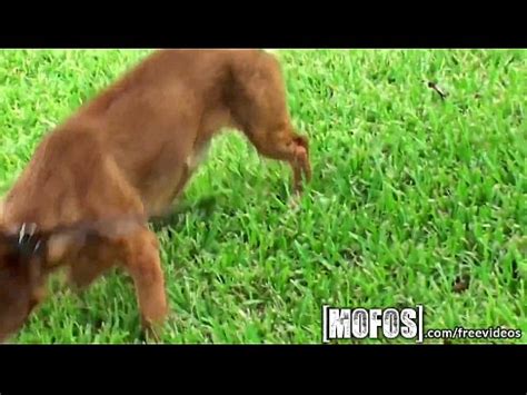 Mofos Kaylee Quinn And Her Big Tits Get Pounded XNXX