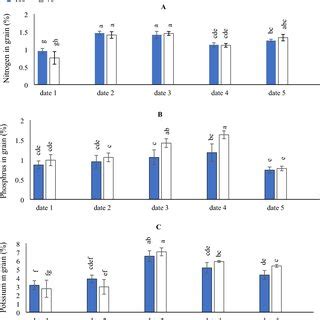 The Interactive Impact Of Sowing Dates And Irrigation Levels On