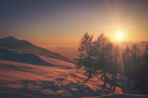 Free Photo: Winter Landscape on a Sunset Mountains