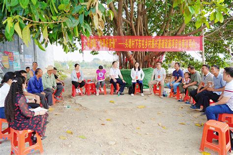 “大树底下好商量” 田阳区政协“有事好商量”协商议事活动接地气