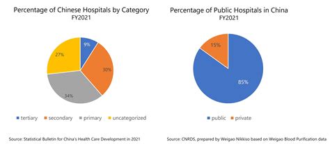 Report on the Current State of the Chinese Hemodialysis Market | From
