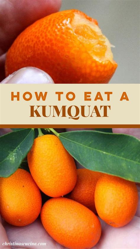 How To Eat A Kumquat