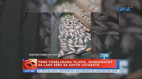 Tone Toneladang Tilapia Nangamatay Sa Lake Sebu Sa South Cotabato Ub