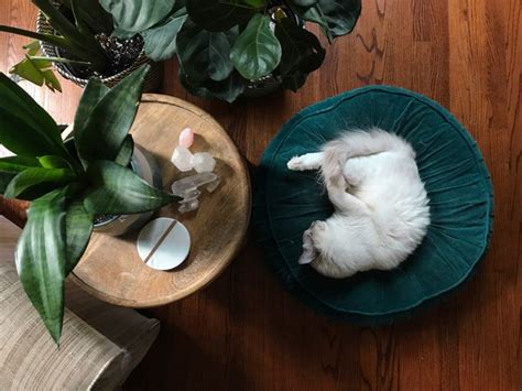 Qu Colocar Debajo De La Cama Para Mejorar El Sue O