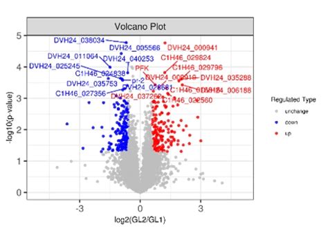 Dia Proteomics Service Mass Spectrometry Data Independent Acquisition