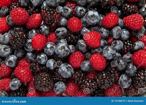 Himbeeren Blaubeeren Und Brombeeren Stockfoto Bild Von Himbeere