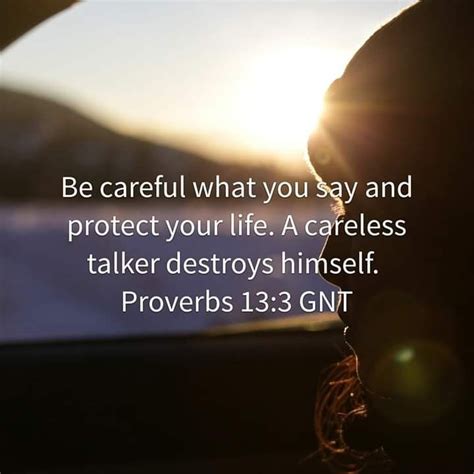 Pin By Lisa Gardner On Christian Proverbs 13 Proverbs 13 3 Proverbs