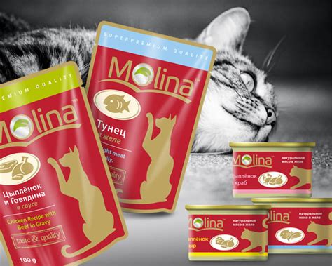 Molina корм для кошек - « Molina- влажный корм, который я давно искала ...
