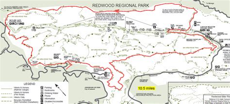 Redwood Regional Park Bay Area Mountain Bike Rides