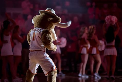 University of Texas Longhorns Cheer at the women's basketball game ...