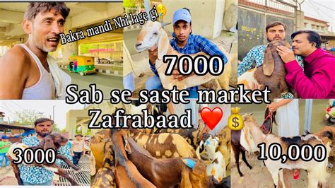 Jafrabad Bakra Mandi Sab Se Sasti Hone Wali Hai Yah Market