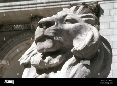 Lion at New York Public Library Stock Photo - Alamy