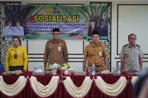 Dkpp Tanbu Gelar Sosialisasi Sarana Dan Prasarana Perkebunan Kelapa Sawit