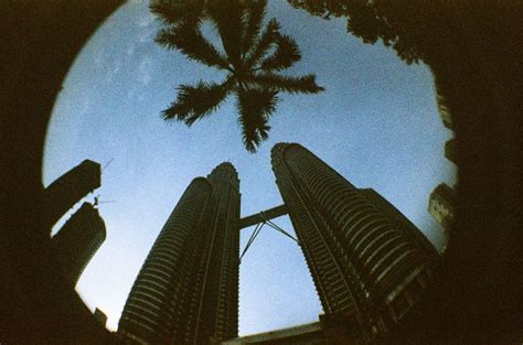 looking up at two tall buildings with palm trees in the foreground and ...