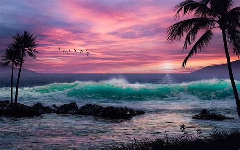 Sunset Sea Summer Pink Palm Tree Water Beach Wave Bird Hd