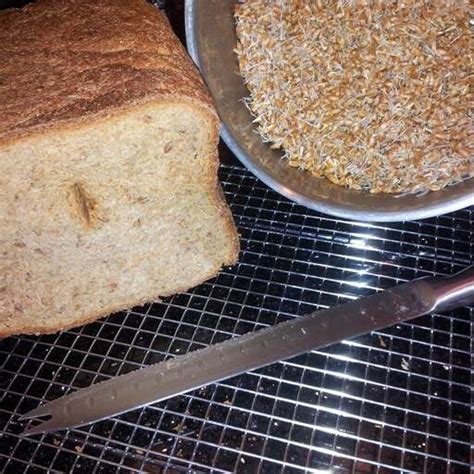 Essene Bread for the Bread Machine Recipe