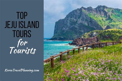 Top Jeju Island Tours for Tourists [2025] | South Korea Travel Planning