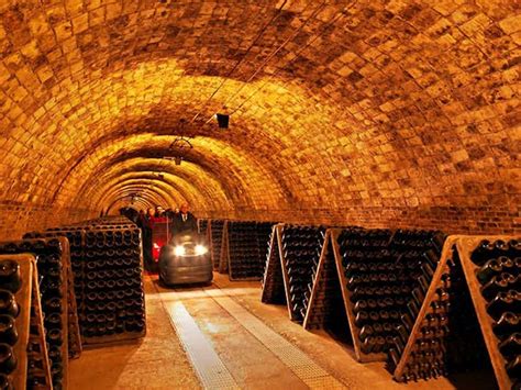 Codorníu Visita Guiada A La Bodega Tiqets