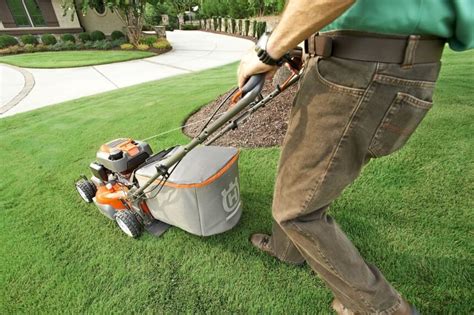 Mexican Lawnmower A Cultural Approach To Yard Maintenance