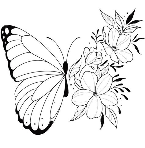 Pin By Doris On A Colorear In 2024 Butterfly Coloring Page