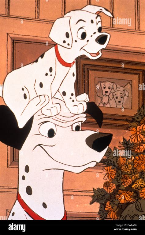 101 Dalmatians Stock Photo Alamy