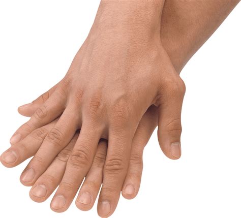 Hands Png Hand Image Transparent Hq Png Download Freepngimg