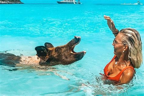 Tripadvisor | Experiência de viagem de dia inteiro de Nassau a Exuma: experiência oferecida por ...