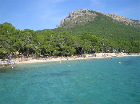 how to visit Formentor Beach from Puerto Pollensa - Things To Do In ...