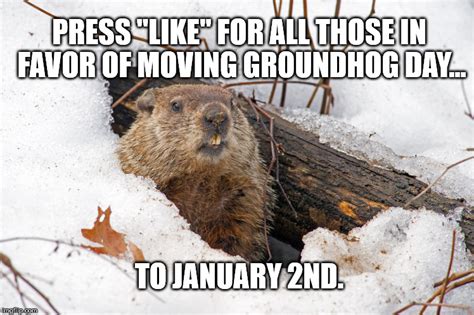 groundhog day - Imgflip