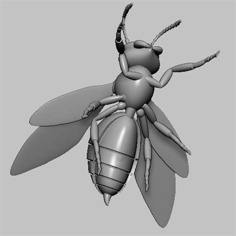 Fichier STL Hornet frelon fichier STL Modèle pour imprimante 3D à