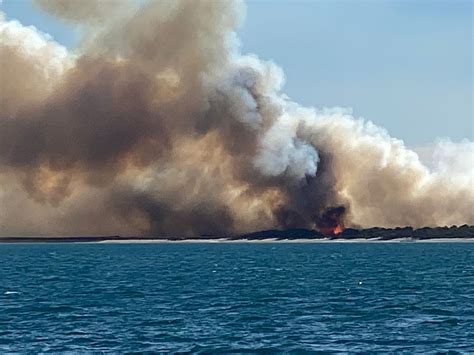 Detenido El Presunto Autor De Los Incendios De El Saler Actualidad